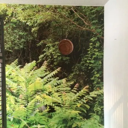 Naturtapete mit Farn-Motiv